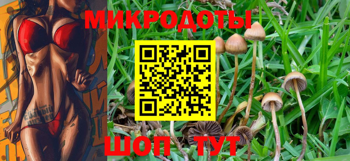 Керчь  Галлюциногенные грибы прущие грибы  Псилоцибиновые грибы Magic Shrooms  наркота  Вход с VPN 